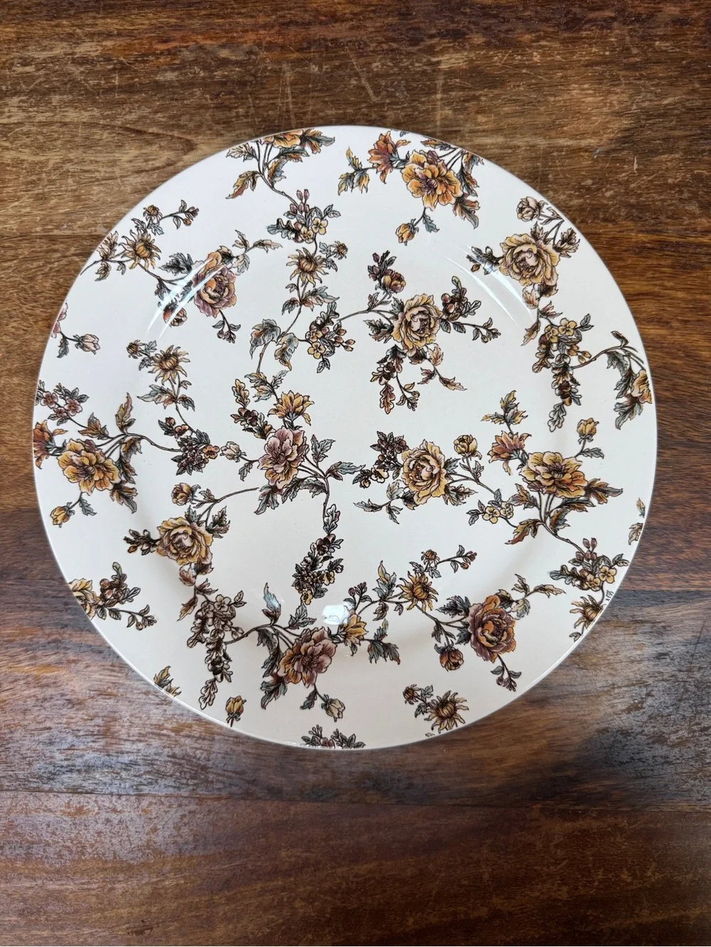 Sur La Table Cream Dinner Plates with Brown Floral Motif - Set of 3